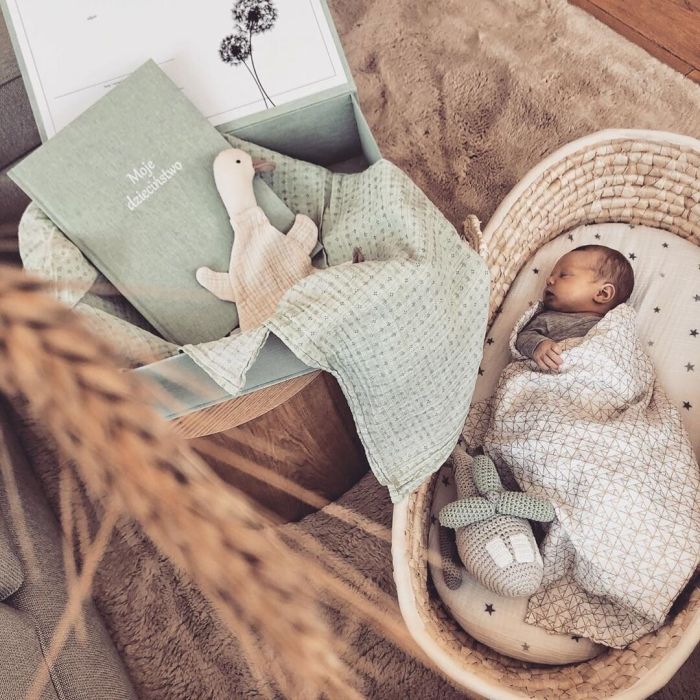 Ahojbaby beebi hällid (Moosese korvid)  ilma madratsita