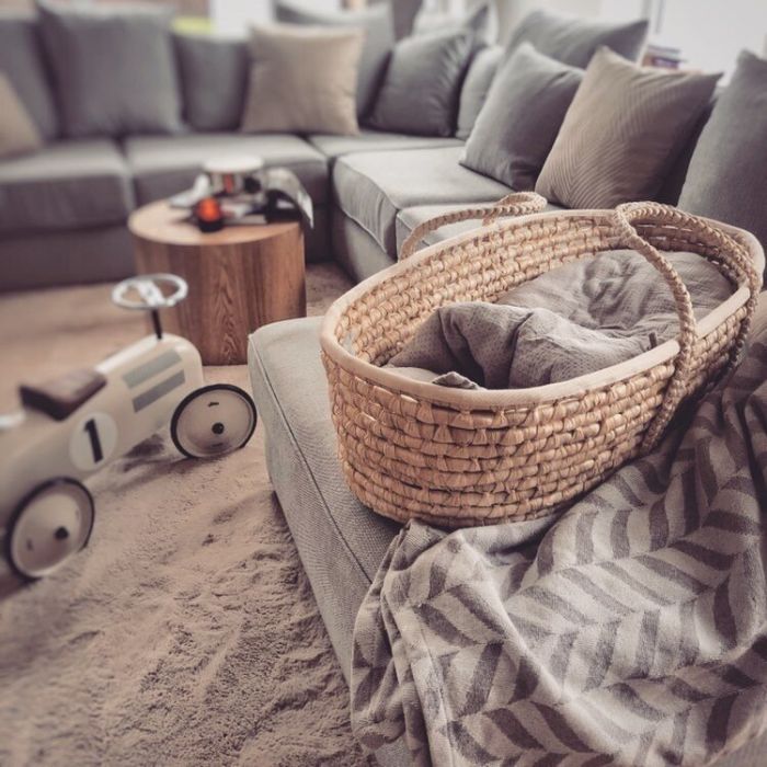 Ahojbaby beebi hällid (Moosese korvid)  ilma madratsita