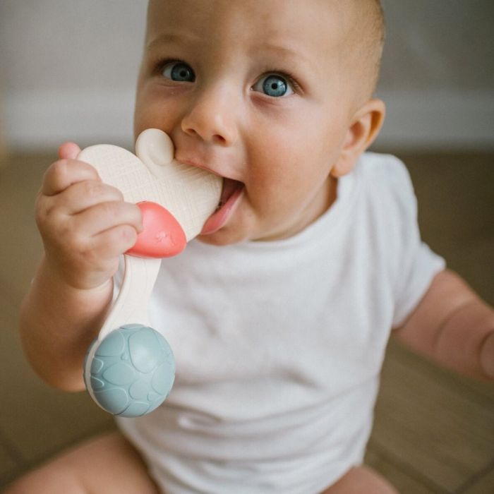 Beebi kõristi Babyono "Flower"