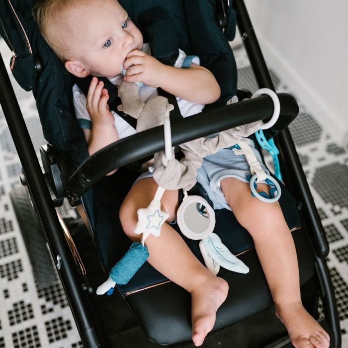 Vankrimänguasjad  "Raccoon"