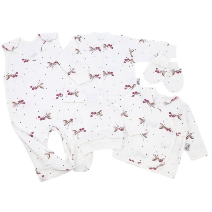 Komplekt vastsündinule 5-e osaline "Goose" 