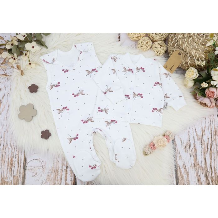 Komplekt vastsündinule 5-e osaline "Goose" 