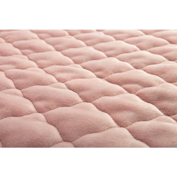 Beebitekk ja padi "Rudolf"  