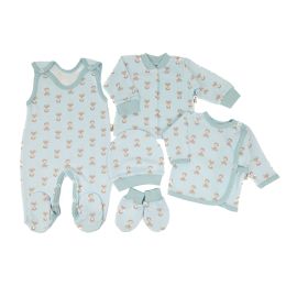 Komplekt vastsündinule 5-e osaline "Fox blue"